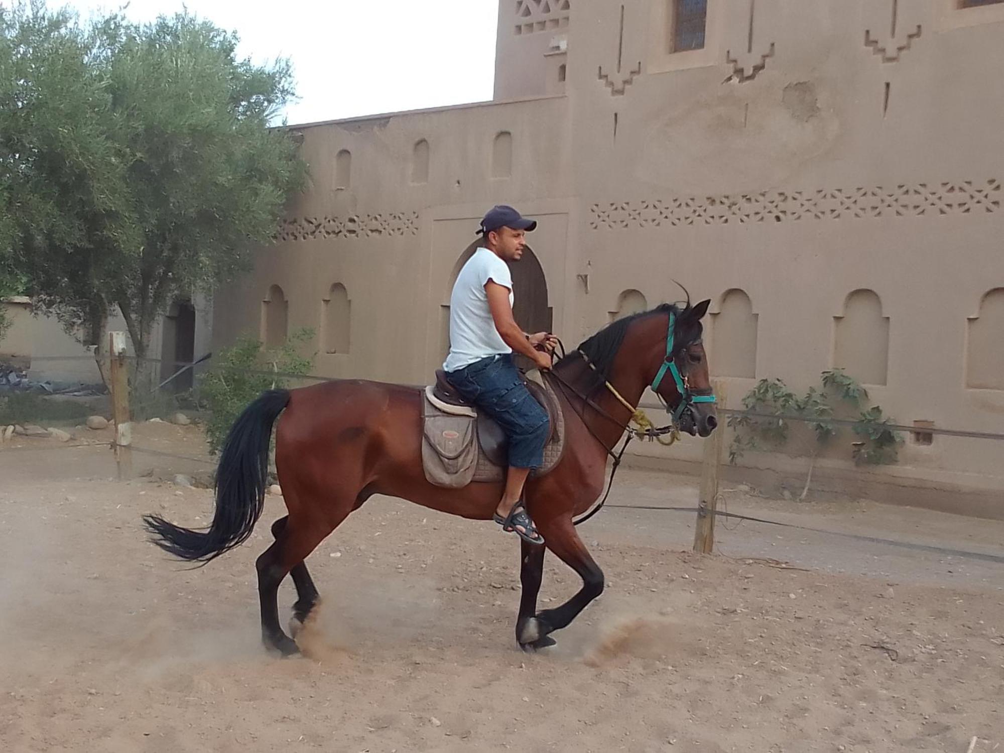 Готель Kasbah Dar Dmana Скура Екстер'єр фото